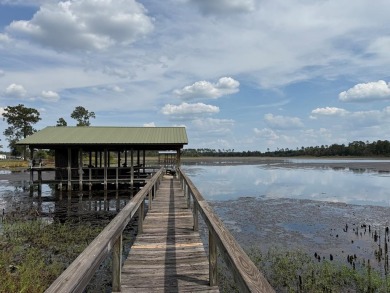 Lake Home For Sale in Donalsonville, Georgia