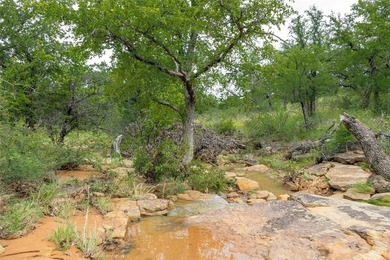 Country Ranch and hunting paradise on 333.17 acres in San Saba - photo 6