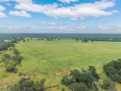 Country Ranch and hunting paradise on 333.17 acres in San Saba - photo 8