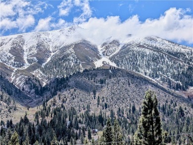 Lake Home For Sale in Bridgeport, California