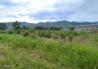 Nolichucky River Lot For Sale in Chuckey Tennessee