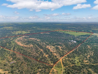 Country Ranch and hunting paradise on 333.17 acres in San Saba - photo 3