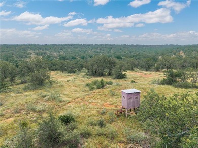 Country Ranch and hunting paradise on 333.17 acres in San Saba - photo 4