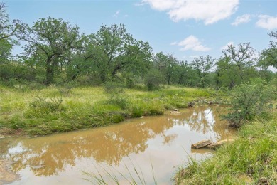Country Ranch and hunting paradise on 333.17 acres in San Saba - photo 5