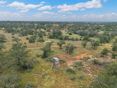 Country Ranch and hunting paradise on 333.17 acres in San Saba - photo 7