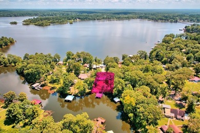 Affordable waterfront living on Toledo Bend! This charming - photo 4
