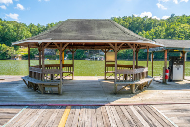 Smith Lake Investment Opportunity. This Active Marina is a - photo 21