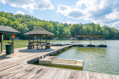 Smith Lake Investment Opportunity. This Active Marina is a - photo 22