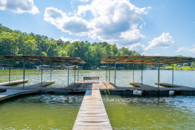 Smith Lake Investment Opportunity. This Active Marina is a - photo 23