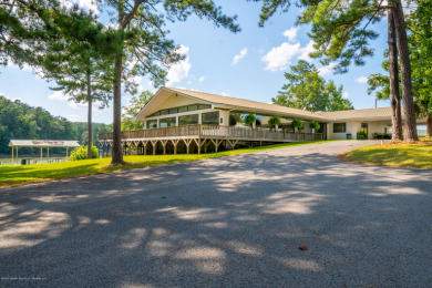 Smith Lake Investment Opportunity. This Active Marina is a - photo 24
