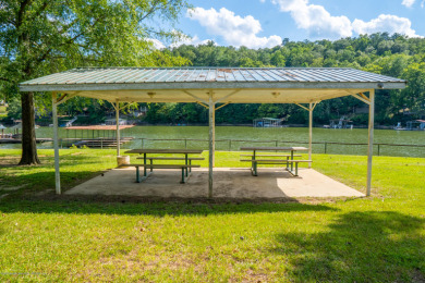 Smith Lake Investment Opportunity. This Active Marina is a - photo 29