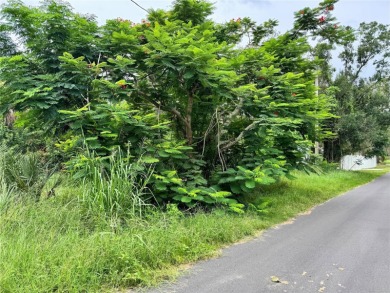 This is a fantastic investment opportunity to build your home in - photo 3