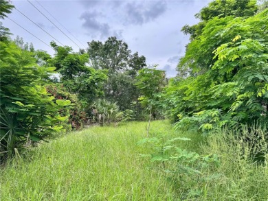 This is a fantastic investment opportunity to build your home in - photo 4