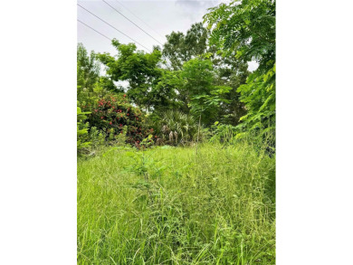 This is a fantastic investment opportunity to build your home in - photo 6