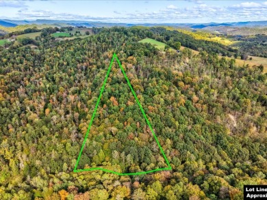 6 Unrestricted Acres with Rolling Terrain and Clinch River Views - photo 12