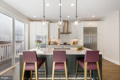 Welcome to this bright, luxury four-level townhome on a premier - photo 8