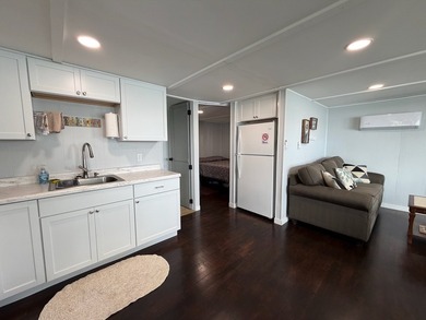 Turn-key cabin on Enemy Swim Lake! Freshly renovated, fully - photo 13