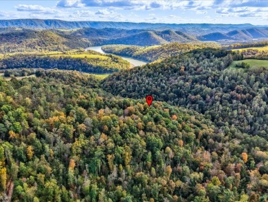 Lake Lot For Sale in Tazewell, Tennessee