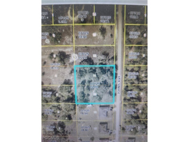 Lehigh Acres Area Lot For Sale in Lehigh Acres Florida