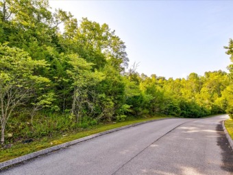 Norris Lake Lot For Sale in Tazewell Tennessee