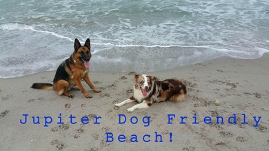 Walk to Beach! Nestled within the exclusive gated Jupiter Beach - photo 39