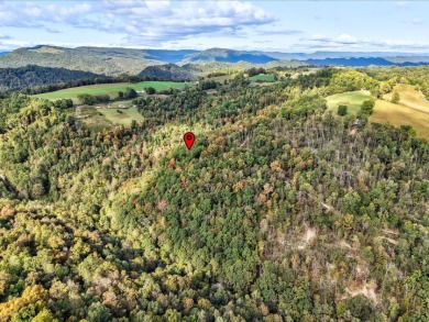 6 Unrestricted Acres with Rolling Terrain and Clinch River Views - photo 10