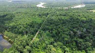 Sabine River - Newton County Acreage For Sale in Bon Wier Texas