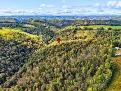 6 Unrestricted Acres with Rolling Terrain and Clinch River Views - photo 18