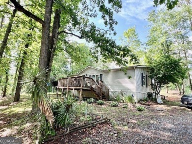 Lake Home For Sale in Martin, Georgia