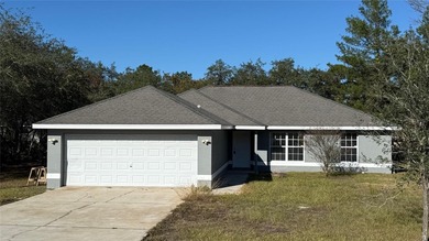 (private lake, pond, creek) Home For Sale in Ocklawaha Florida