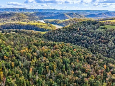 6 Unrestricted Acres with Rolling Terrain and Clinch River Views - photo 27