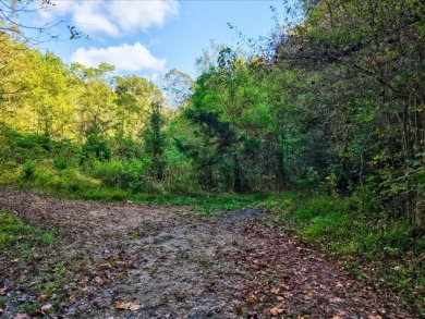 6 Unrestricted Acres with Rolling Terrain and Clinch River Views - photo 7