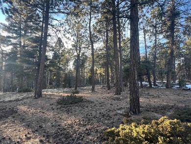 Monte Verde Lake Lot For Sale in Angel Fire New Mexico