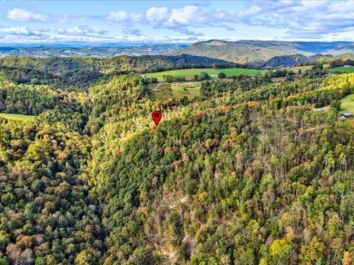 6 Unrestricted Acres with Rolling Terrain and Clinch River Views - photo 19