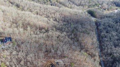 Build Your Dream Lifestyle - Rare Double Lot Opportunity! - photo 12