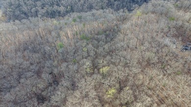 Build Your Dream Lifestyle - Rare Double Lot Opportunity! - photo 16