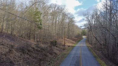 Build Your Dream Lifestyle - Rare Double Lot Opportunity! - photo 23