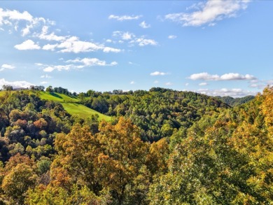6 Unrestricted Acres with Rolling Terrain and Clinch River Views - photo 9