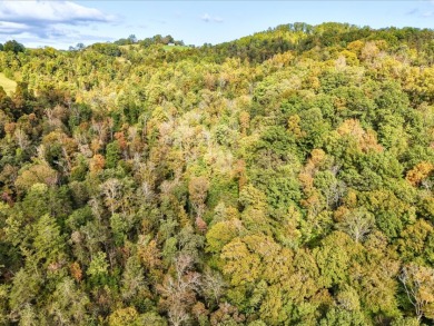 6 Unrestricted Acres with Rolling Terrain and Clinch River Views - photo 20