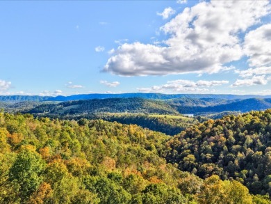 6 Unrestricted Acres with Rolling Terrain and Clinch River Views - photo 8