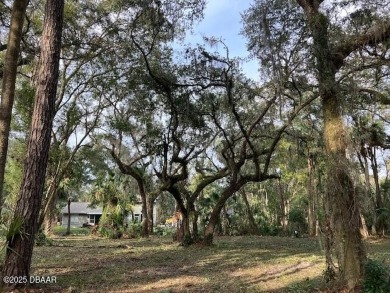 Lake Lot For Sale in Pierson, Florida