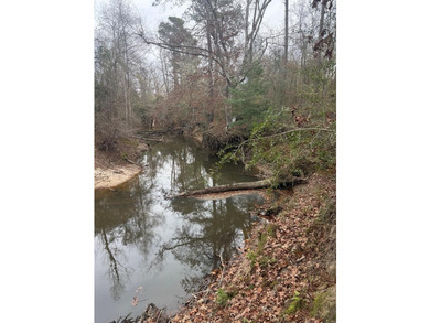 Sabine River - Newton County Acreage For Sale in Bon Wier Texas
