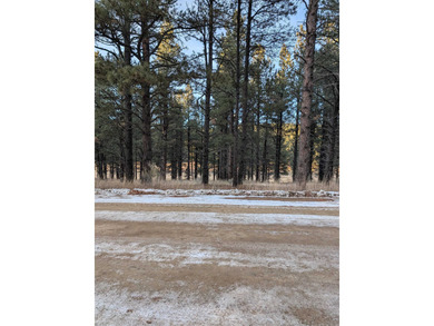Monte Verde Lake Lot For Sale in Angel Fire New Mexico