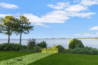 Perfectly positioned along the living shoreline of the Chester - photo 3