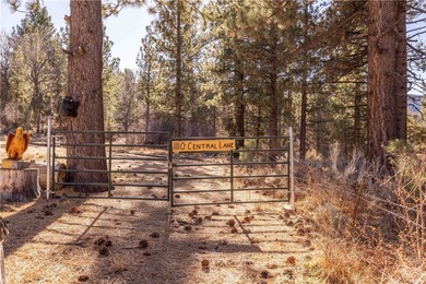 Erwin Lake Acreage For Sale in Big Bear City California