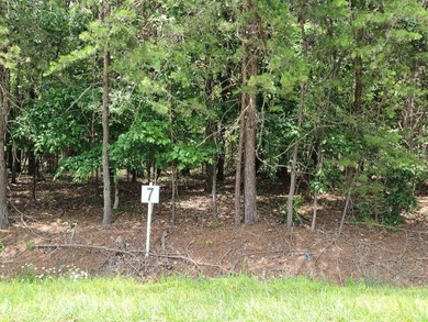 Smith Mountain Lake Lot For Sale in Union Hall Virginia