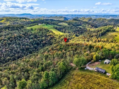 6 Unrestricted Acres with Rolling Terrain and Clinch River Views - photo 17