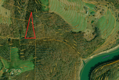 6 Unrestricted Acres with Rolling Terrain and Clinch River Views - photo 6