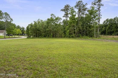 One of two Gorgeous lots with majestic oak in Biloxi's Back Bay - photo 9