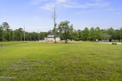 One of two Gorgeous lots with majestic oak in Biloxi's Back Bay - photo 10